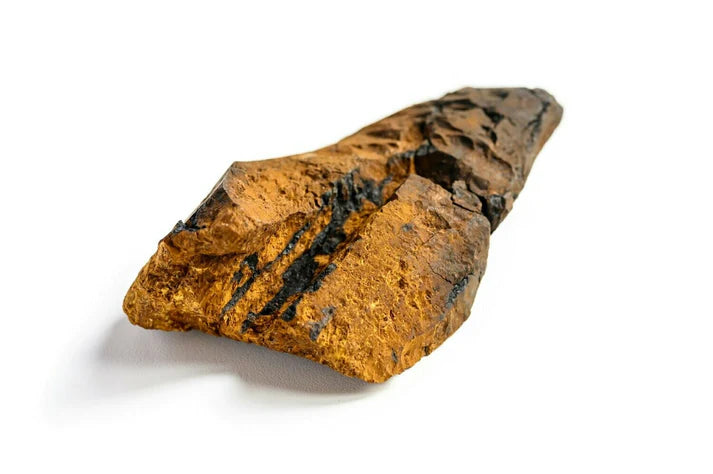 Chaga Mushroom: A Potential Ally in Diabetes Managemen